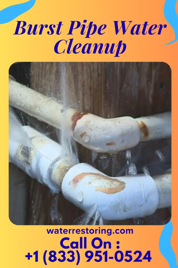 Burst Pipe Water Cleanup in La Vista, NE