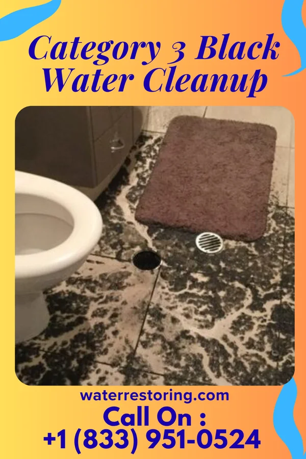 Category 3 Black Water Cleanup in La Vista, NE