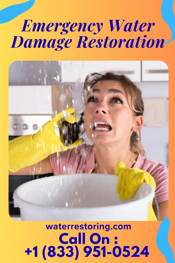 Emergency Water Damage Restoration in La Vista, NE