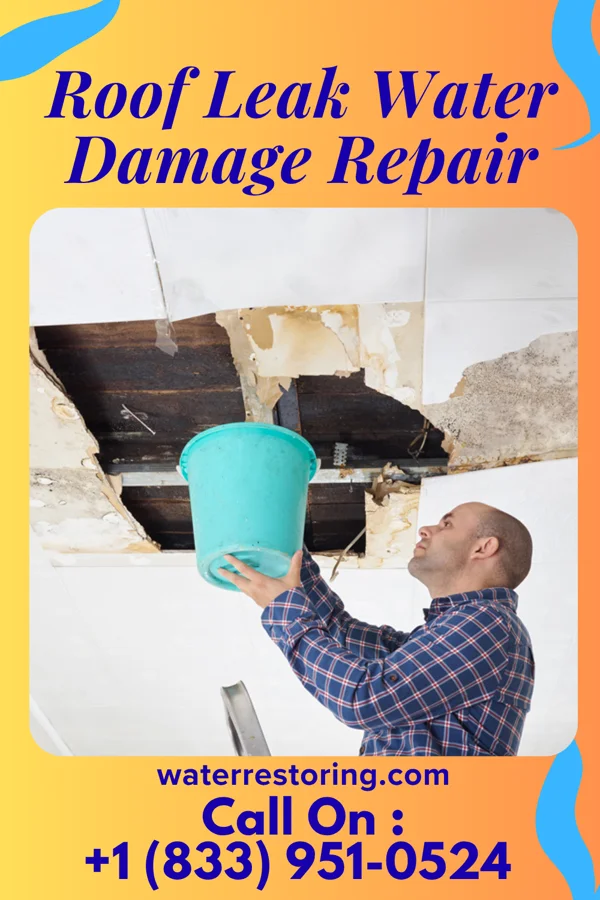 Roof Leak Water Damage Repair in La Vista, NE